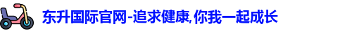 东升国际